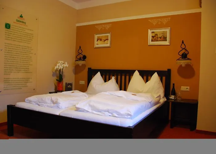 فندق Magnus Klause